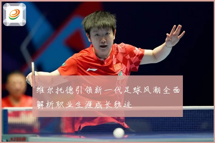 维尔托德引领新一代足球风潮全面解析职业生涯成长轨迹