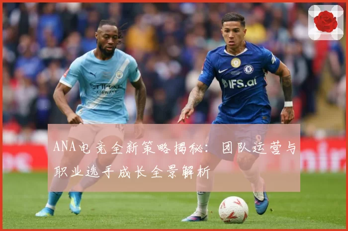 ANA电竞全新策略揭秘：团队运营与职业选手成长全景解析